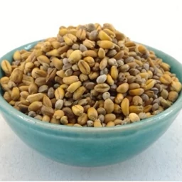 گندم شاهدانه ممتاز فدک (300گرم)