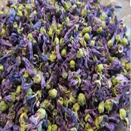 گیاه گل پنیرک 5ستاره فدک (50گرم)