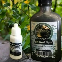 پک شامپو سیاه کننده مو طهور فدک (تقویت کننده پیاز مو)