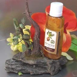 روغن پیاز عنصل 5ستاره فدک (45 سی سی)