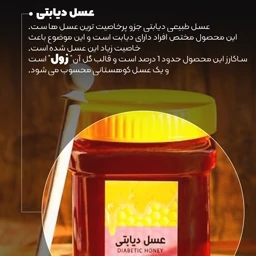 عسل دیابتی 5ستاره فدک (500گرم)