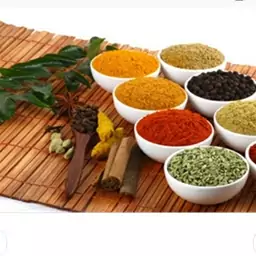 ادویه مخصوص خورشتی و آبگوشتی فدک (100گرم)