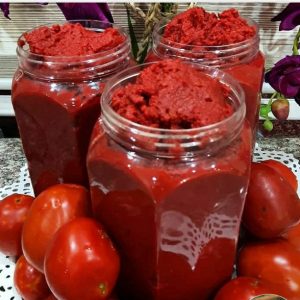 رب گوجه سنتی فدک (800گرم)