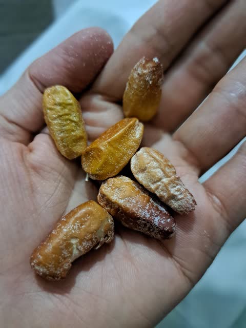 سنجد درشت ممتاز فدک (500 گرم)