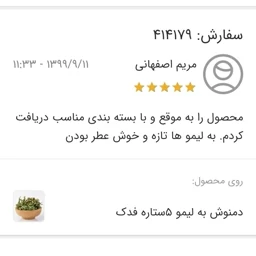 دمنوش به لیمو 5ستاره فدک