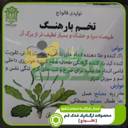 تخم بارهنگ 5ستاره فدک (100گرم)