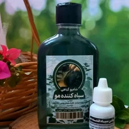 پک شامپو سیاه کننده مو طهور فدک (تقویت کننده پیاز مو)