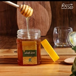 عسل آویشن ممتاز فدک (1000 گرمی)