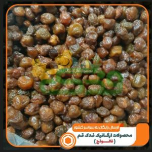 آلوخورشتی خراسان فدک (نیم کیلو)