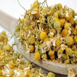 گیاه بابونه گل ممتاز فدک (70 گرم)