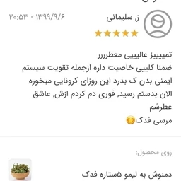 دمنوش به لیمو 5ستاره فدک