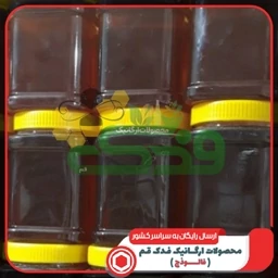 عسل کوهستان 5ستاره فدک (پک 10 عددی )