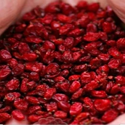زرشک طبیعی 5ستاره فدک (450 گرم)