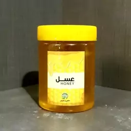 عسل صبحانه استوانه فدک (500گرم)
