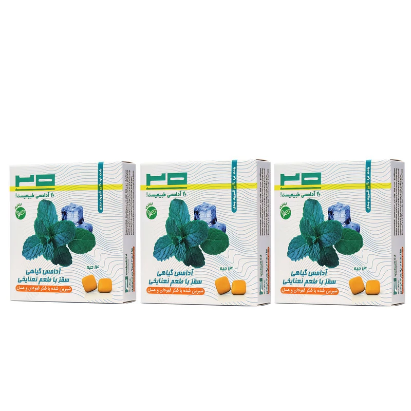 آدامس نعنا یخ طبیعی بیست - 50 گرم بسته 3 عددی