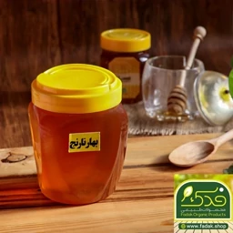 عسل بهارنارنج ممتاز فدک (500 گرم)