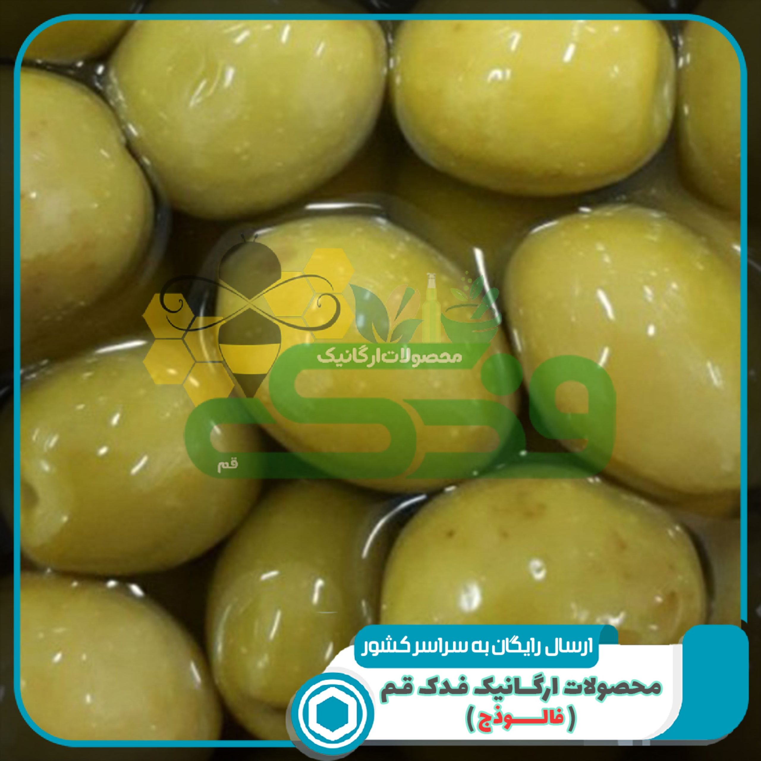 زیتون ویژه طارم 700 گرم آبکش