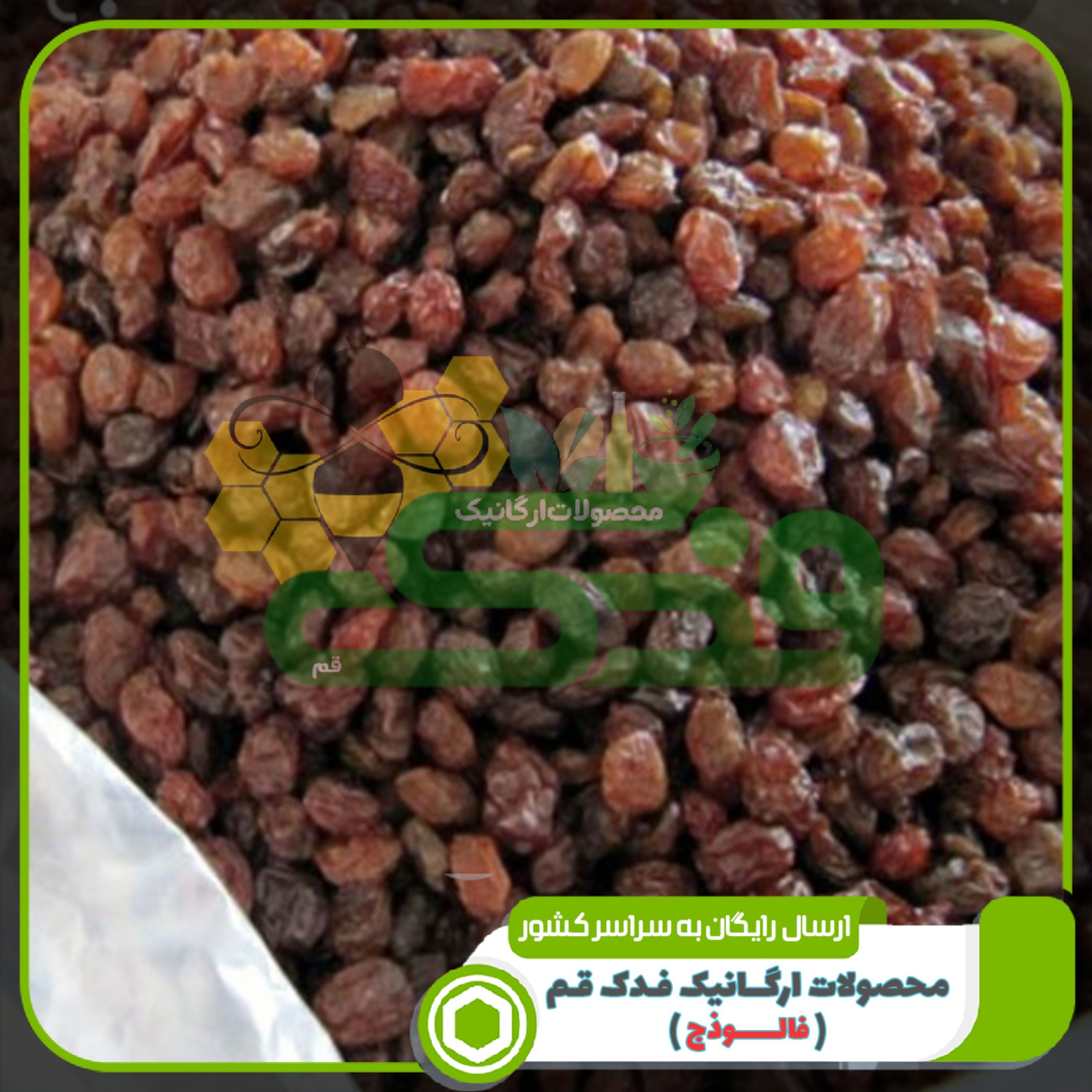 کشمش پلویی آفتابی فدک (350گرم)