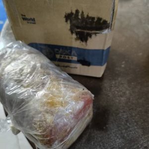 رب گوجه سنتی فدک (800گرم)