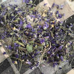 گل بنفشه ممتاز فدک (30 گرم)