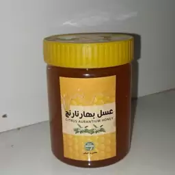 عسل بهارنارنج ممتاز فدک (1000گرم)