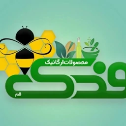 لواشک طعم زرشک طبیعی محلی فدک (750 گرم)