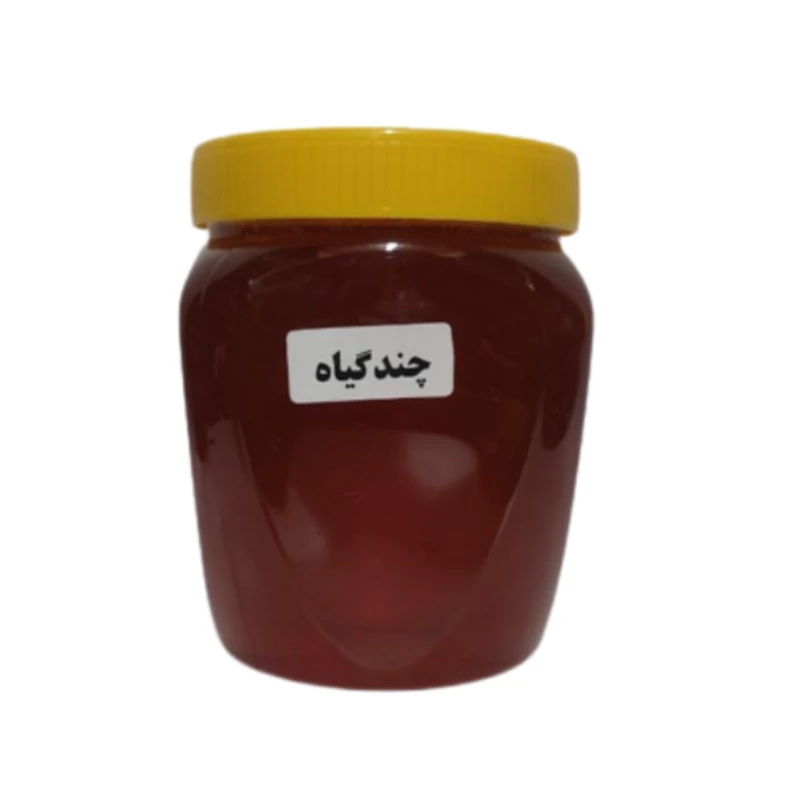 عسل چندگیاه 5ستاره فدک (پک 10 بسته یک کیلویی )
