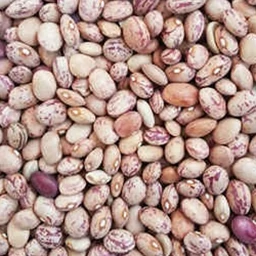 لوبیا چیتی 5ستاره فدک (1200گرم)