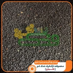 تخم خرفه ممتاز فدک (یک کیلو)