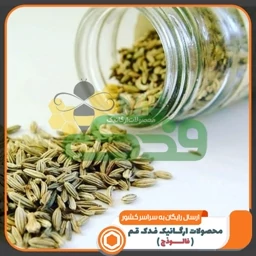 زیره سبز ممتاز فدک (250 گرم)