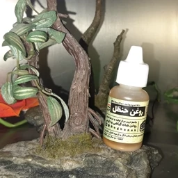 روغن حنظل 5ستاره فدک (ترمیم دندان)