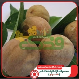 لیمو عمانی 5ستاره فدک (1کیلو)