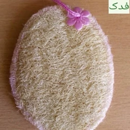 لیف گیاهی لوفا ممتاز فدک (یک طرفه بزرگ بدن )
