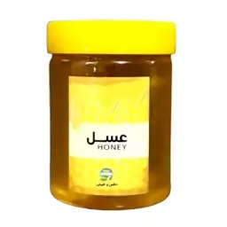 عسل صبحانه استوانه فدک (500گرم)