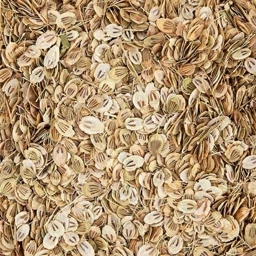 گلپر کوهی 5ستاره فدک