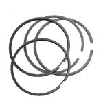 رینگ موتور 50 تیپ 5 رومانی RYTON D3 *