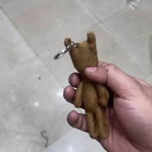 جاکلیدی تدی مستربین بسیار جذاب و بانمک