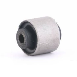 بوش دو شاخ رام 405 اترک C17