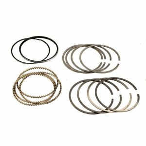 رینگ موتور استاندارد206 تیپ5 رومانی RYTON D4 *