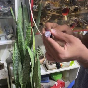 لامپ دو کنتاکت ال ای دی چشمک زن قرمز کریستالی خطر خودرو بسته دو عددی ( جفت )