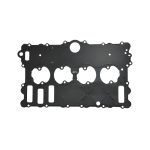 واشر لاستيكي قالپاق سوپاپ (قاب روي سرسيلندر) EF7P (سمت دود) دنا پلاس شرکتی اصل ایساکو - نمایندگی ایرانخودرو نقشینه