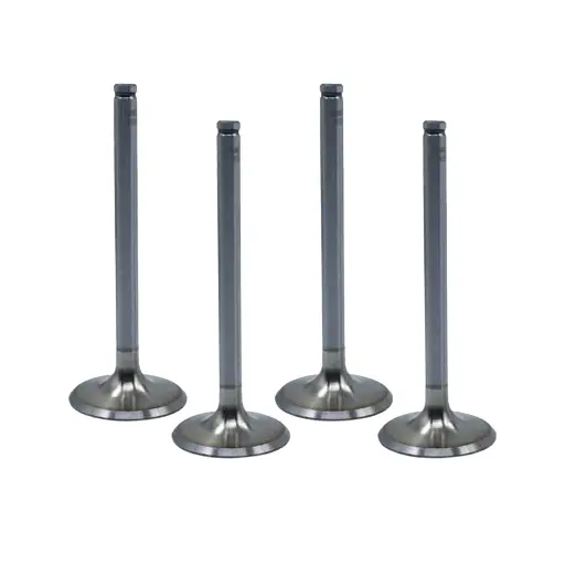 سوپاپ پژو 405 GLX (1800 سی سی ) دینا پارت