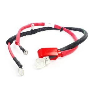 كابل مثبت باتري پژو 405 شرکتی اصل ایساکو - نمایندگی ایرانخودرو نقشینه